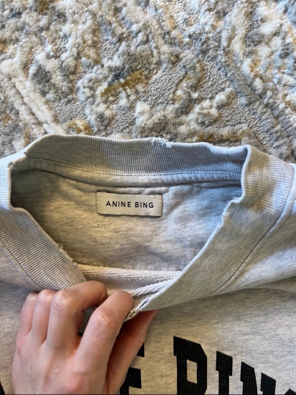 Anine bing hoodie - Picture 3 of 3